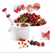 Отделитель косточек Cherry seed WB-1260 для Вишни Черешни Маслин Оливок WB-1260 фото 1
